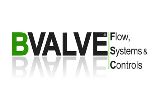 BVALVE